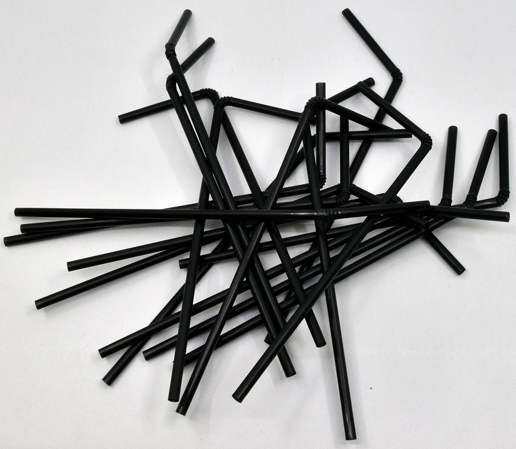 PAIE PP REUSE FLEX NEGRE 240x5 MM (029) 1000 BUC/SET